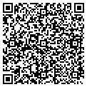 QR code with IBEW contacts