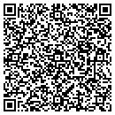 QR code with Profsnl Ans Mssg CT contacts