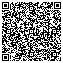 QR code with Carruth Studio Inc contacts