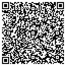 QR code with Precision Auto Sales contacts