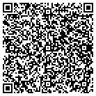 QR code with Public Consulting Group contacts