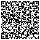 QR code with Bluehornet Networks contacts