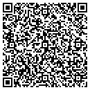 QR code with Public Media Network contacts