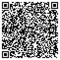 QR code with TCBY contacts