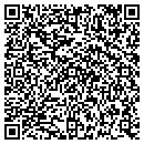 QR code with Public Storage contacts