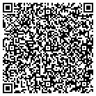 QR code with Pultrusion Dynamics Inc contacts