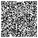 QR code with Carlinis Pizza Shop contacts