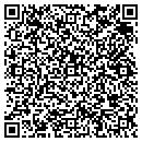 QR code with C J's Lawncare contacts