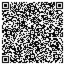 QR code with Precision Die Masters contacts