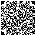 QR code with M-Line contacts