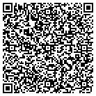 QR code with Professional Electronics contacts