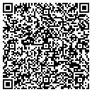 QR code with Project Consulting contacts
