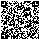 QR code with Primary Elec Inc contacts
