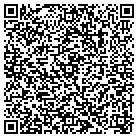 QR code with Brice Robert J & Assoc contacts