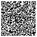 QR code with Gewoco contacts
