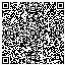 QR code with Pure One Inc contacts