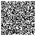 QR code with Figlio contacts