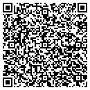 QR code with Pulse Electronics contacts