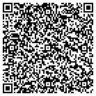 QR code with Pulau Electronic Corp contacts