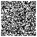 QR code with Prizant's Carpet contacts