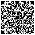 QR code with P Dubs contacts