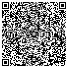 QR code with Pulse Resources Intl LLC contacts