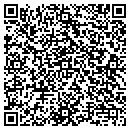 QR code with Premier Innovisions contacts