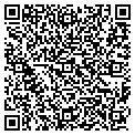 QR code with Delphi contacts