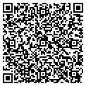 QR code with Alltel contacts