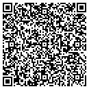 QR code with Brock's Chimney Sweep contacts