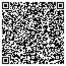QR code with Pyramid Life contacts