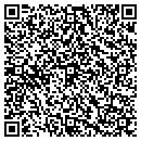 QR code with Constructive Concepts contacts