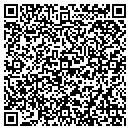 QR code with Carson Petroleum Co contacts