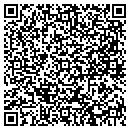 QR code with C N S Institute contacts
