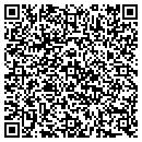 QR code with Public Storage contacts