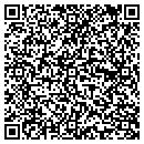 QR code with Premiere Designers II contacts