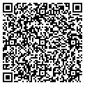 QR code with Torus contacts