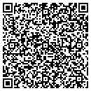 QR code with Carpet Gallery contacts