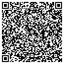 QR code with Publishing Systems contacts