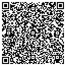 QR code with Cubbedge Controls Inc contacts