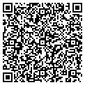 QR code with Dawn C Brandt contacts