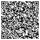 QR code with Bushworks Inc contacts