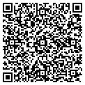 QR code with AFSCME contacts