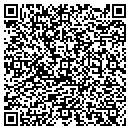 QR code with Precise contacts