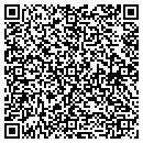 QR code with Cobra Controls Inc contacts