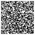 QR code with Neteam contacts