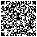 QR code with Programming Art contacts