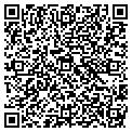 QR code with Volute contacts