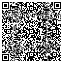 QR code with Cruise Technologies contacts