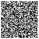 QR code with Progressive Travel contacts